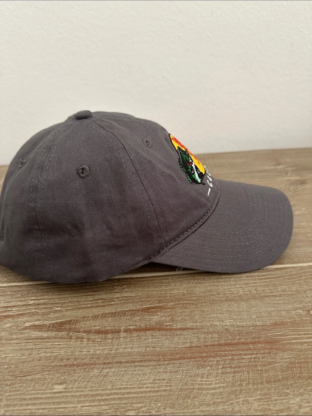 Bass Pro Shops Charcoal Gray Logo Baseball Cap